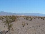 Death Valley, Sanddünen