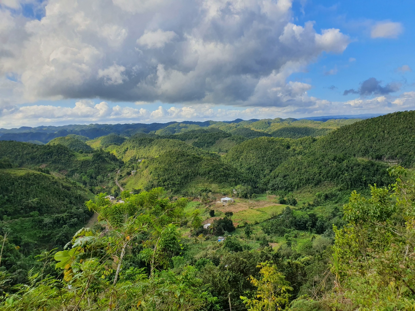 Jamaica -