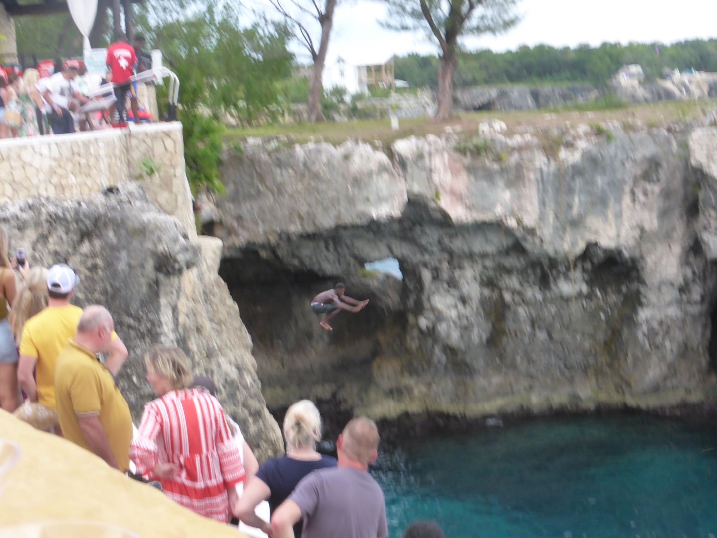 Klippenspringer -