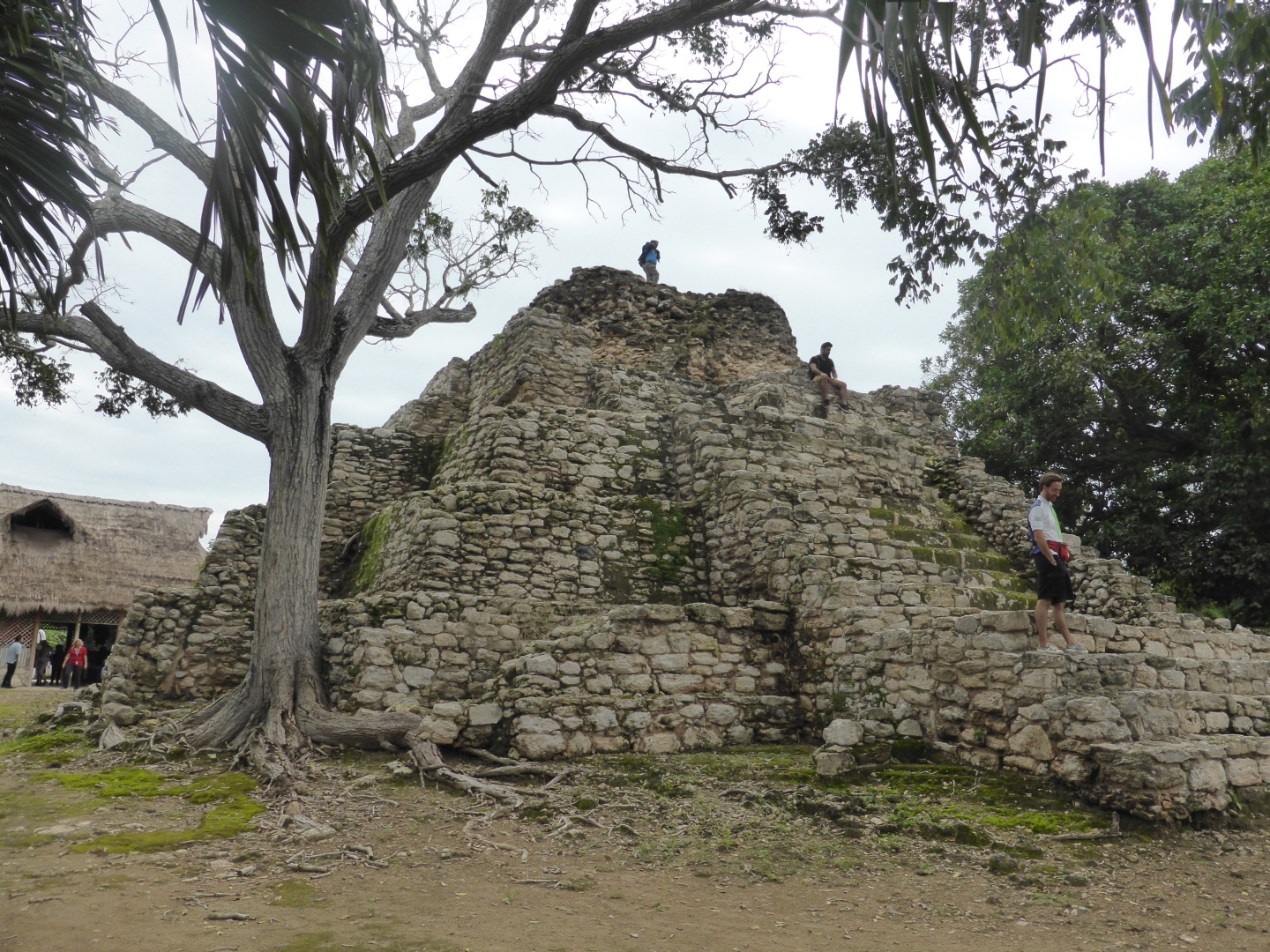 Maya Ruine in Limones -