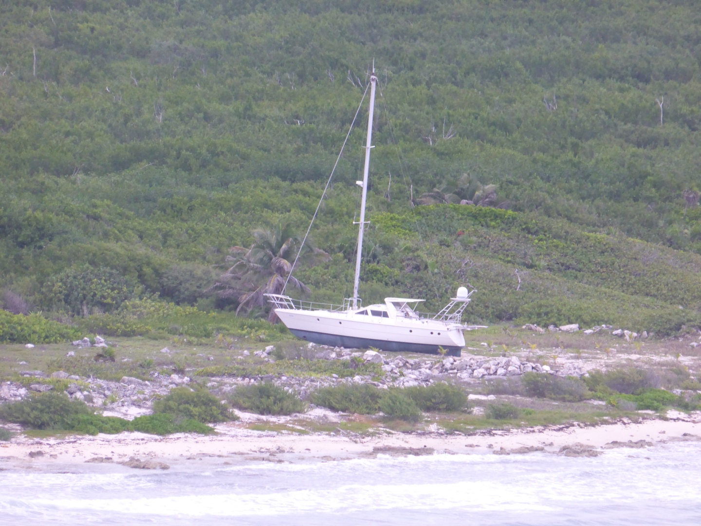 Costa Maya -