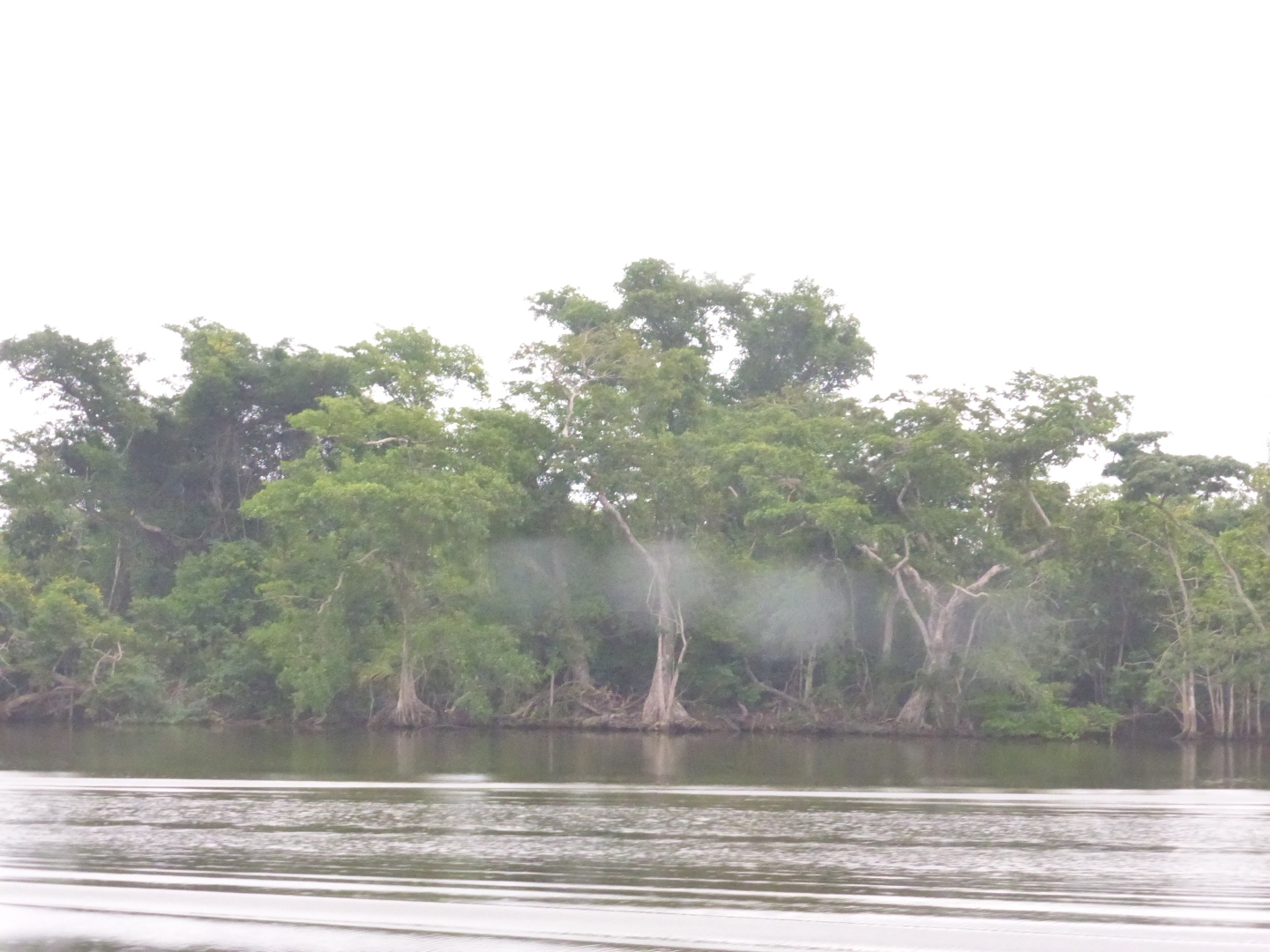 Belize -