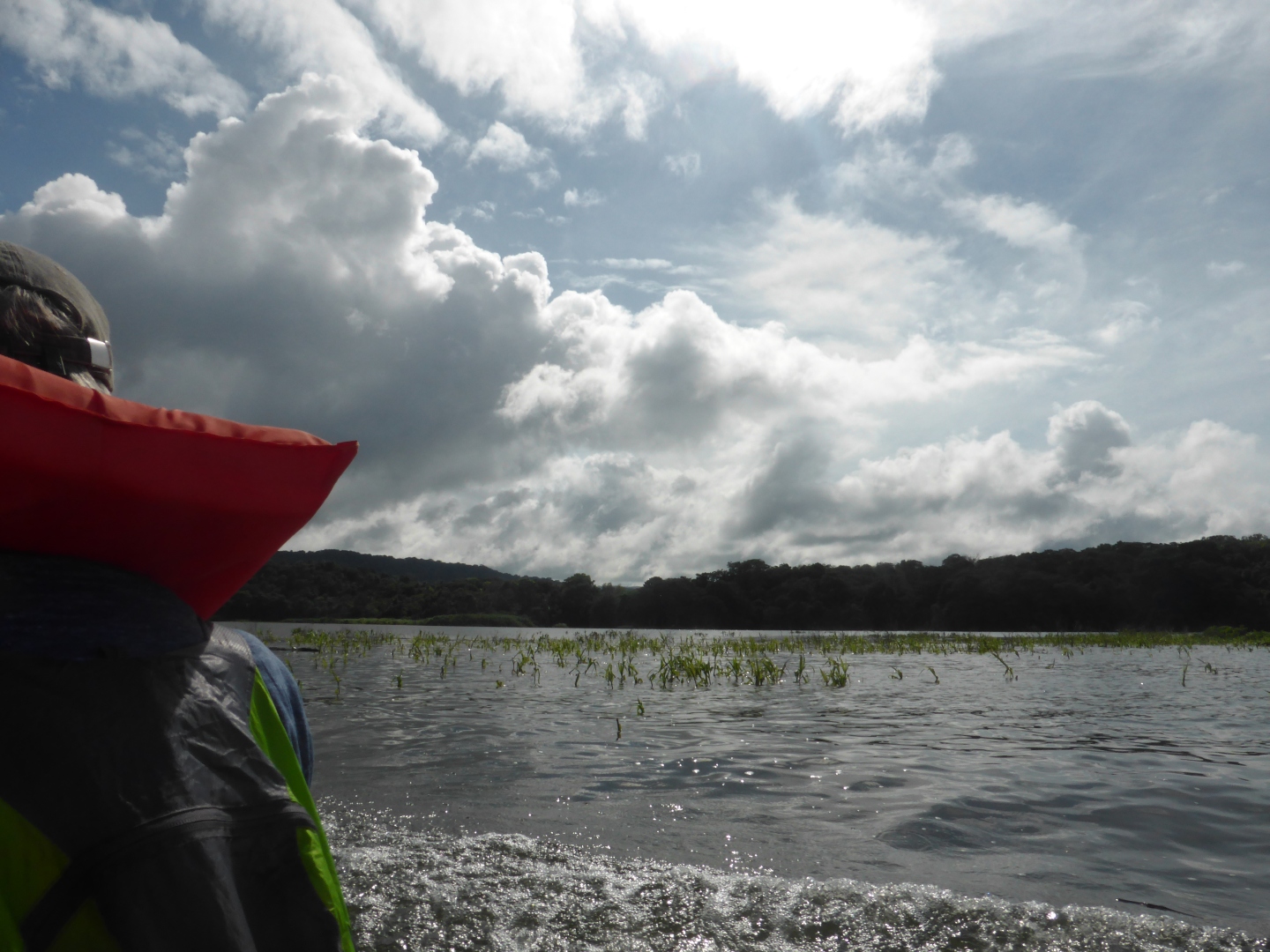 Rio Chagres -
