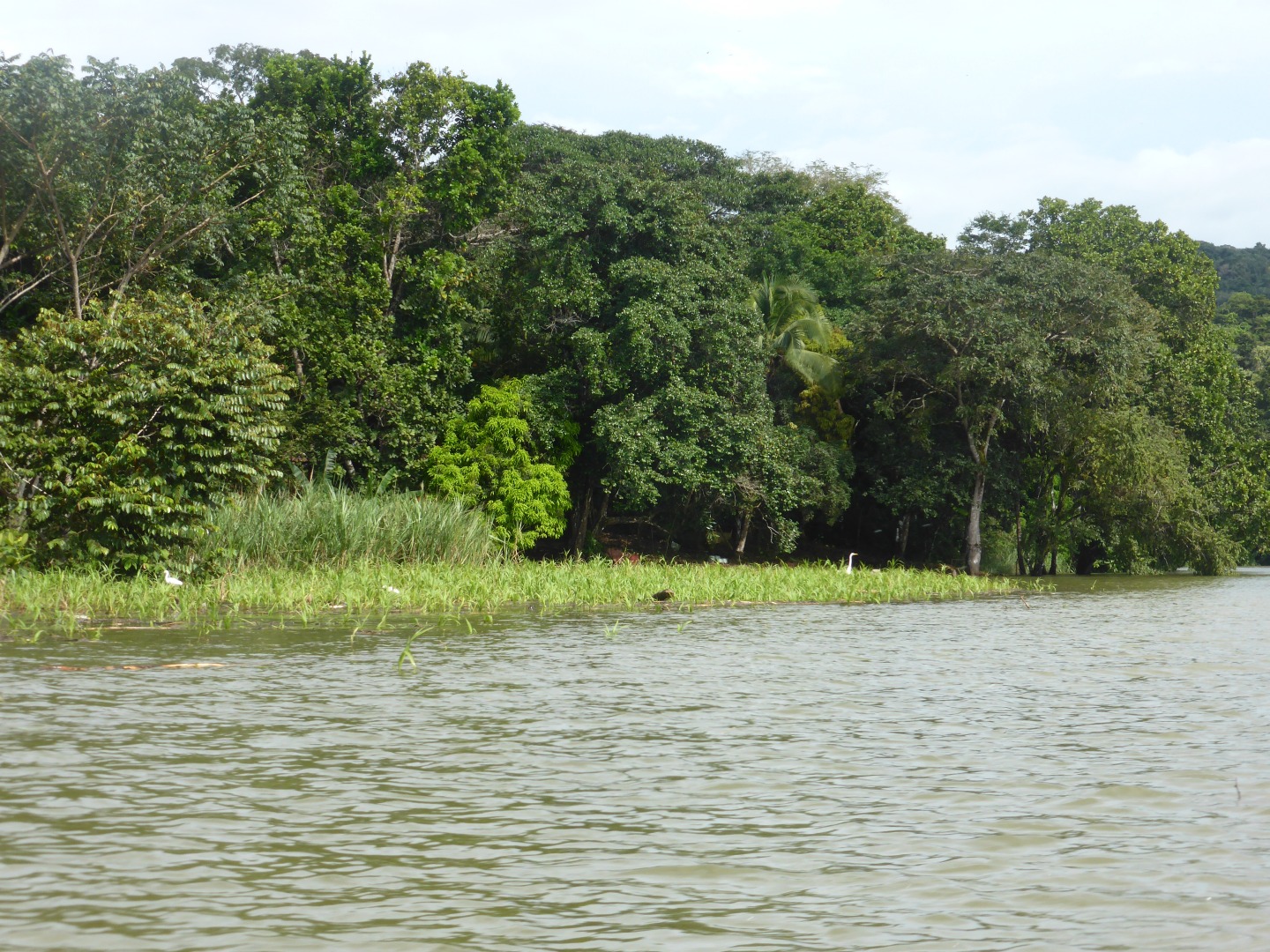 Rio Chagres -