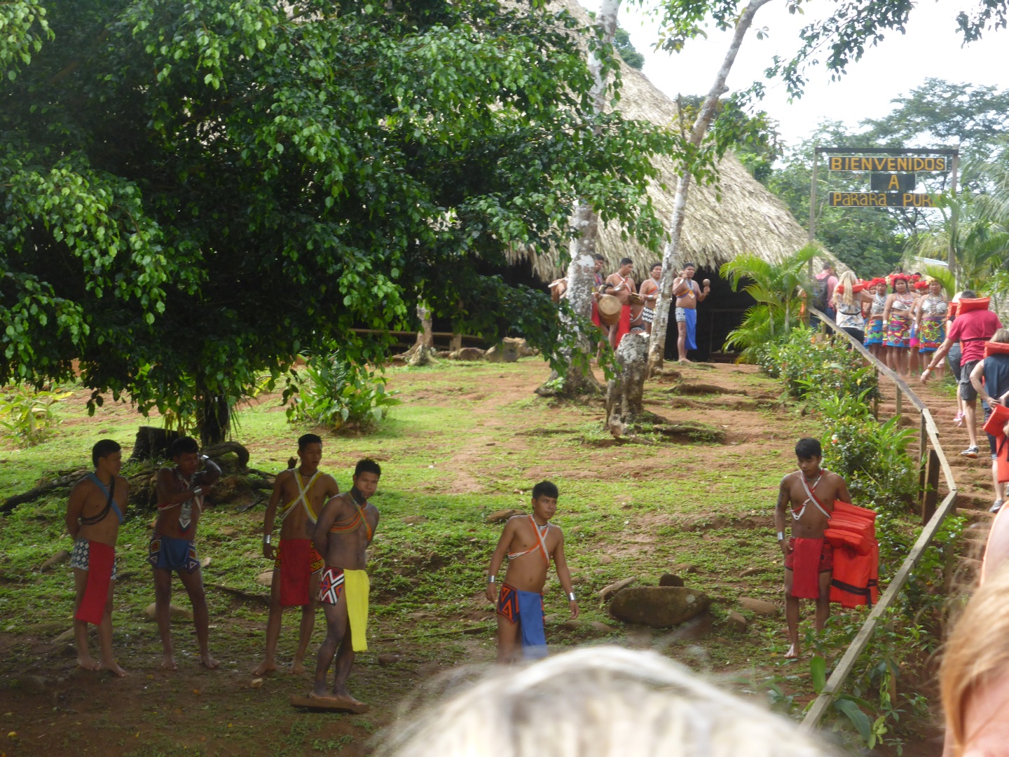 Parara Puru -