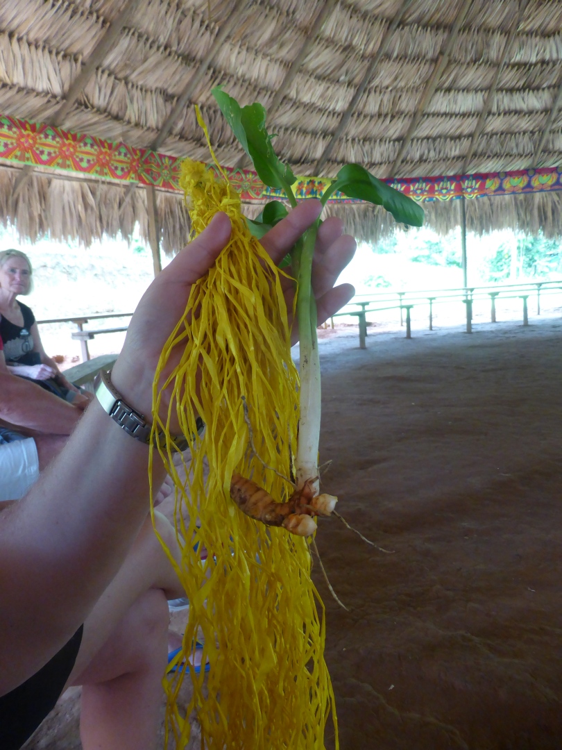 Bei den Embera Indianern -