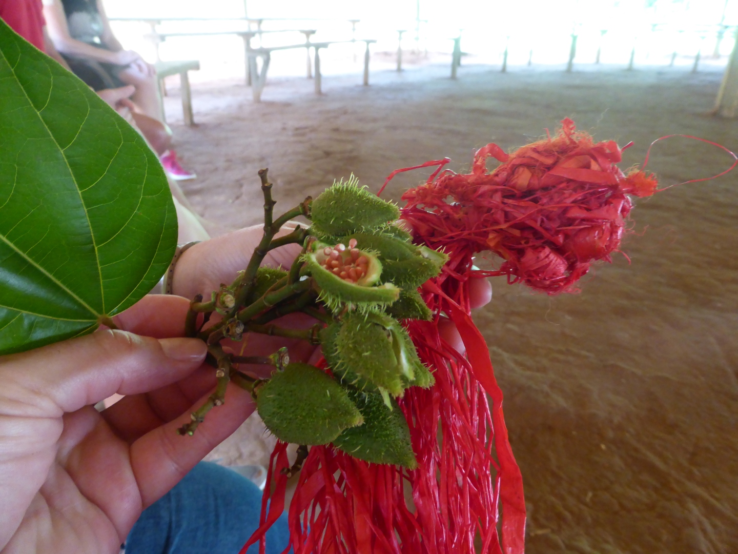 Bei den Embera Indianern -